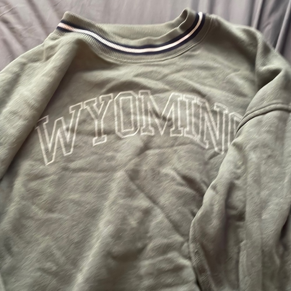 Cropped American eagle long sleeves